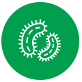 Microbe-Icon