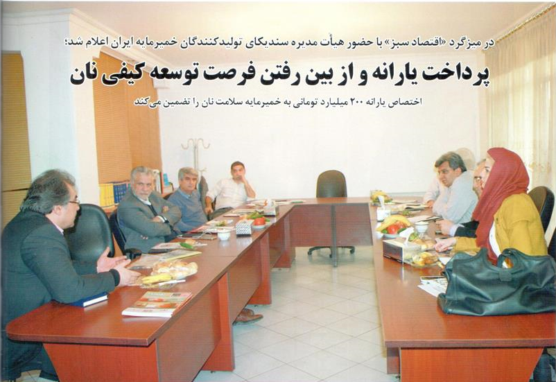 پرداخت یارانه و از بین رفتن فرصت توسعه کیفی نان